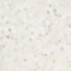 100 sq ft. Arabescato Carrara 12 in. x 12 in. Marble Honeycomb Mosaic Wall and Floor Tile, 10 boxes (final cut, no further discounts)