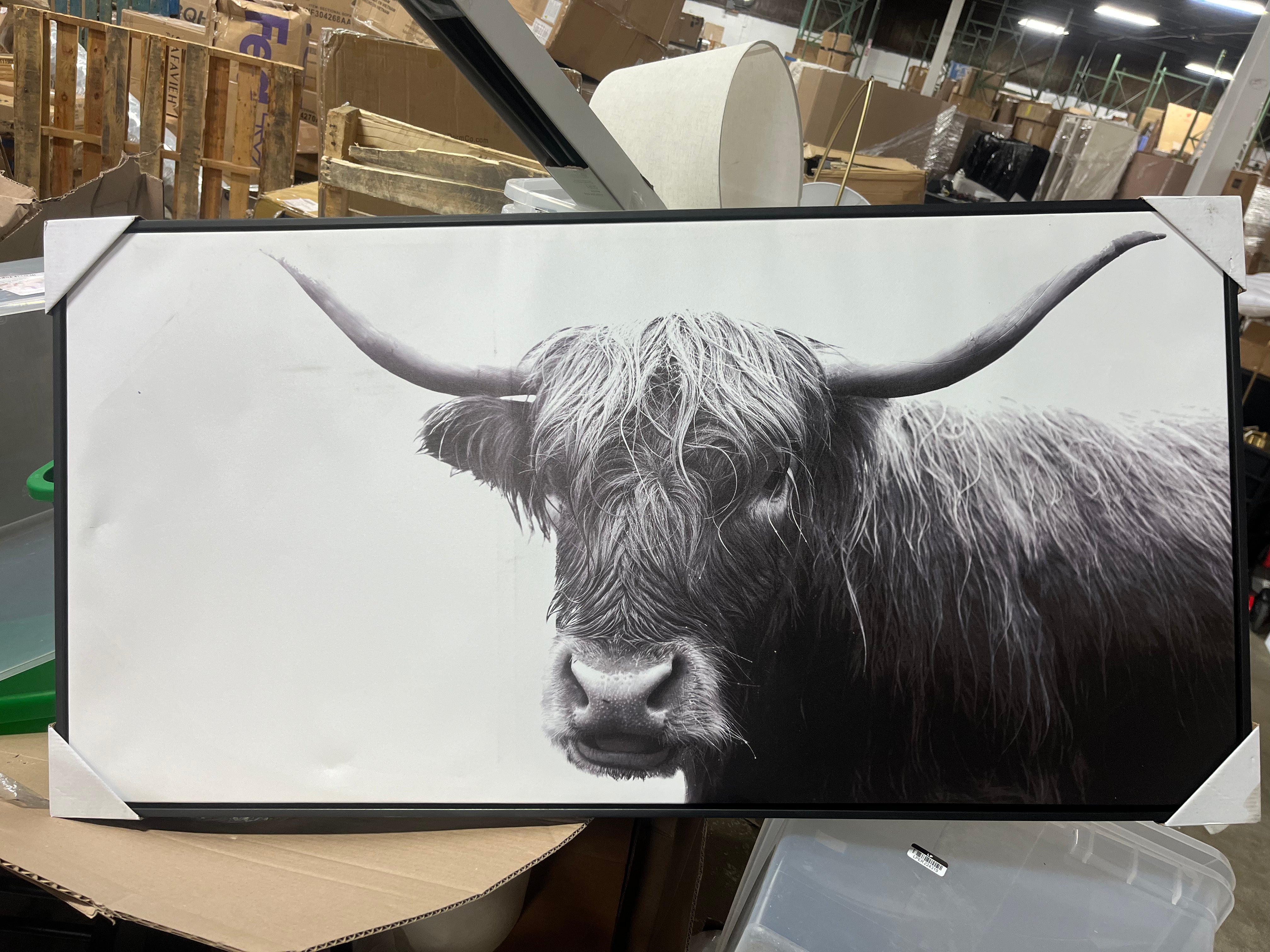 Highland Cow Framed Canvas