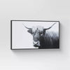 Highland Cow Framed Canvas