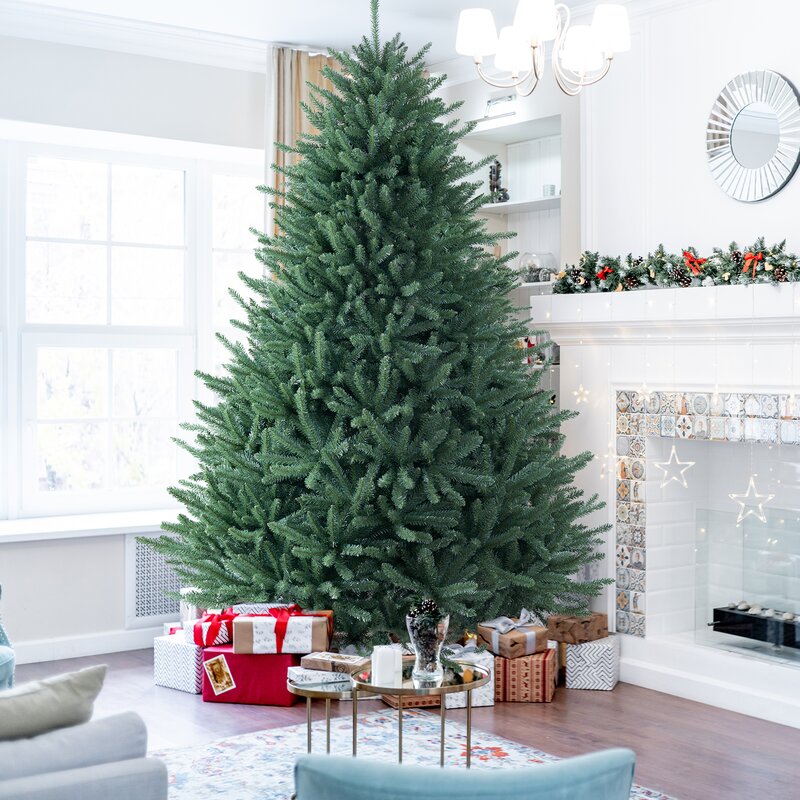 7' 6" H Extra Full Green Fir Christmas Tree – Salvage & Co Indy