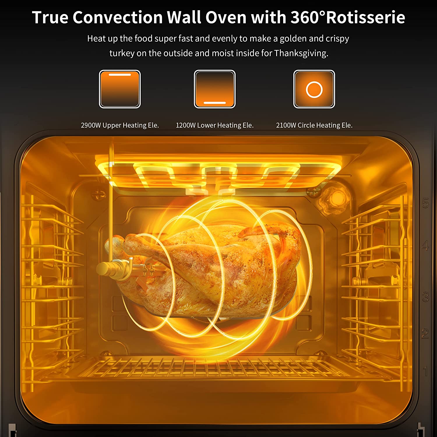 Single Wall Oven