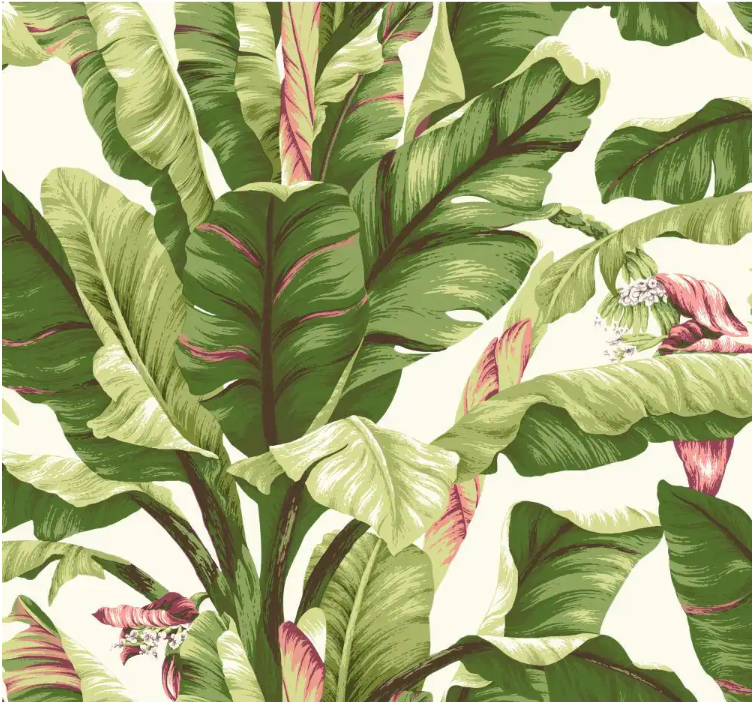 Tropics Banana Leaf Paper Strippable Roll Wallpaper (Covers 60.75 sq. ft.) 1 roll
