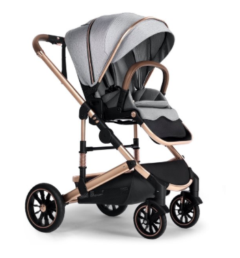 2-in-1 Baby Stroller with Adjustable Seat