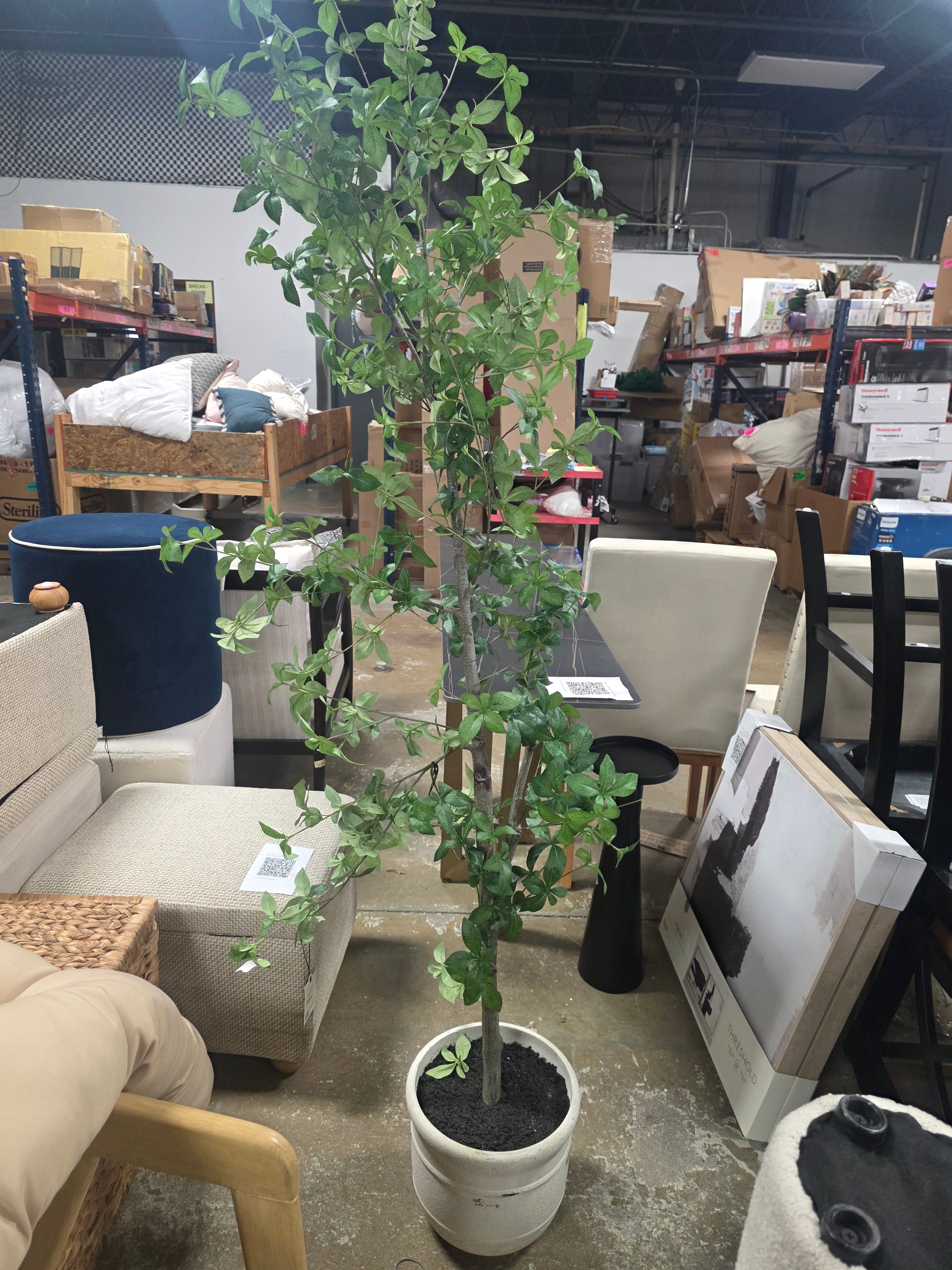 8' Faux Gypsophila Leaf Potted Tree - Hearth & Hand™ with Magnolia - SHOWROOM ITEM