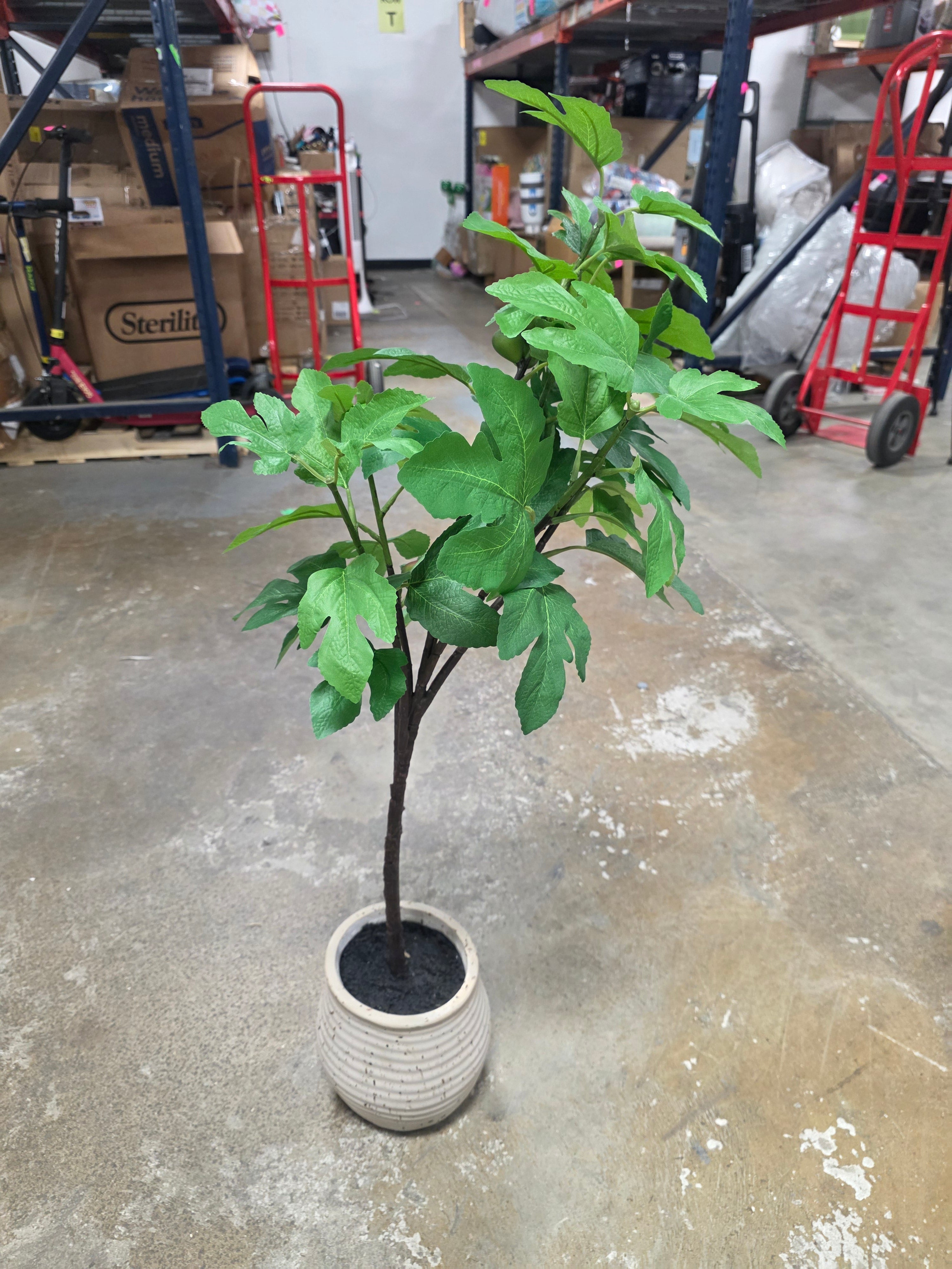40" Fig Artificial Tree - Threshold - SHOWROOM ITEM
