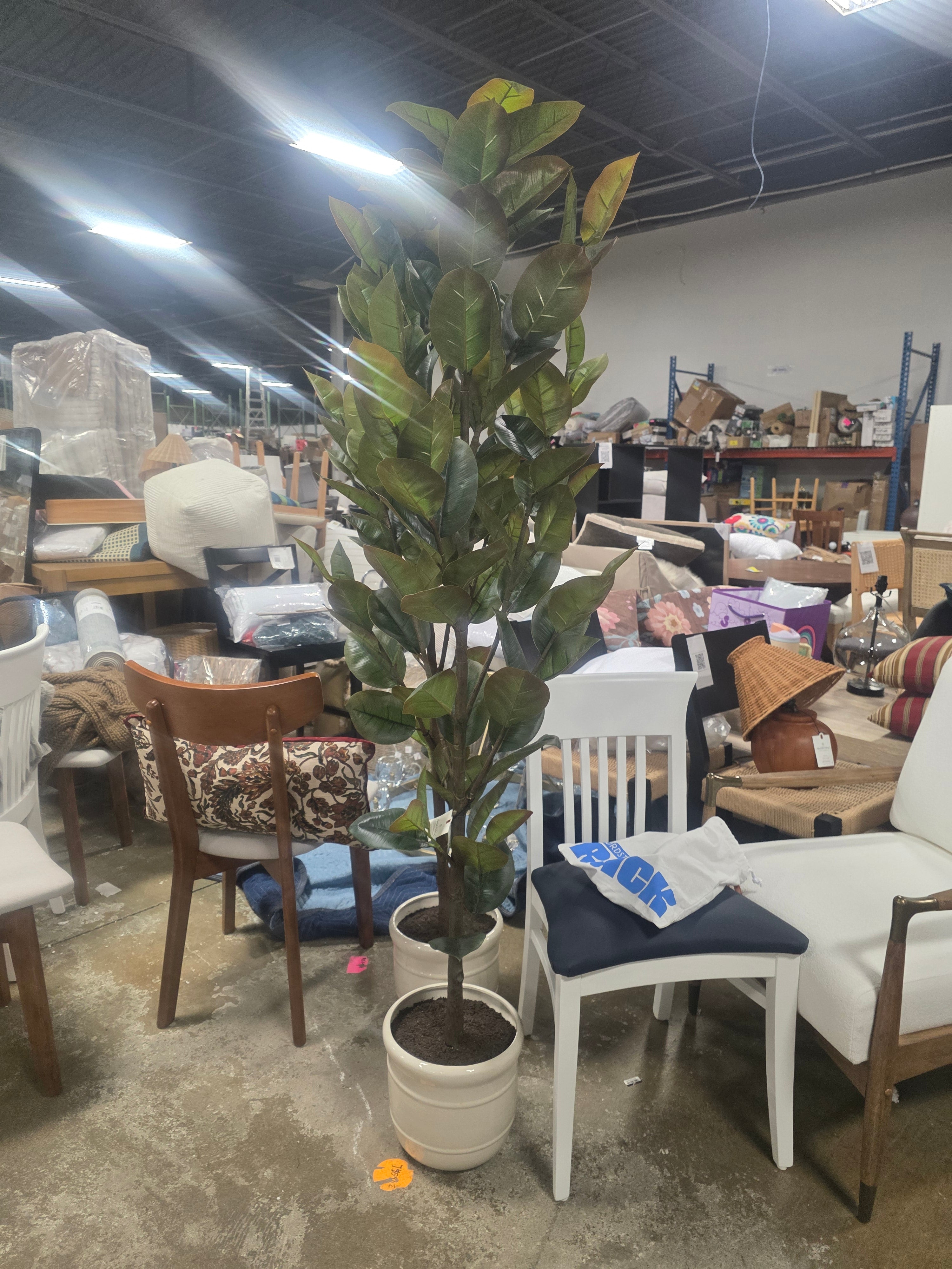 72" Faux Potted Rubber Tree - Hearth & Hand™ with Magnolia - SHOWROOM ITEM 