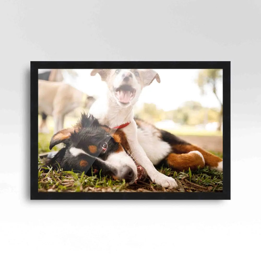 Black Picture Frame - Wood Picture Frame Complete with UV - Noir Classique (Set of 4)