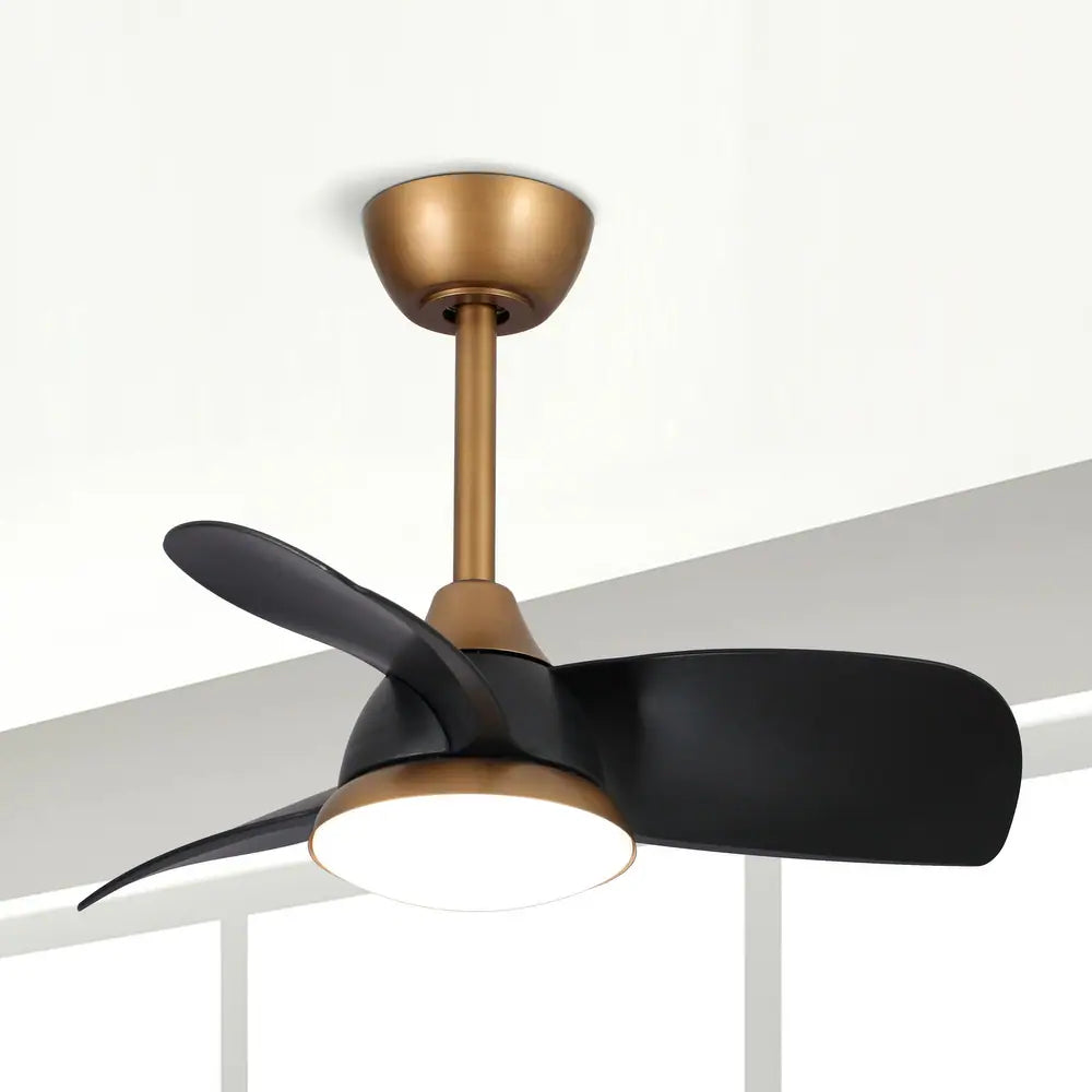 Black Modern Dimmable LED Ceiling Fan with Light and Remote