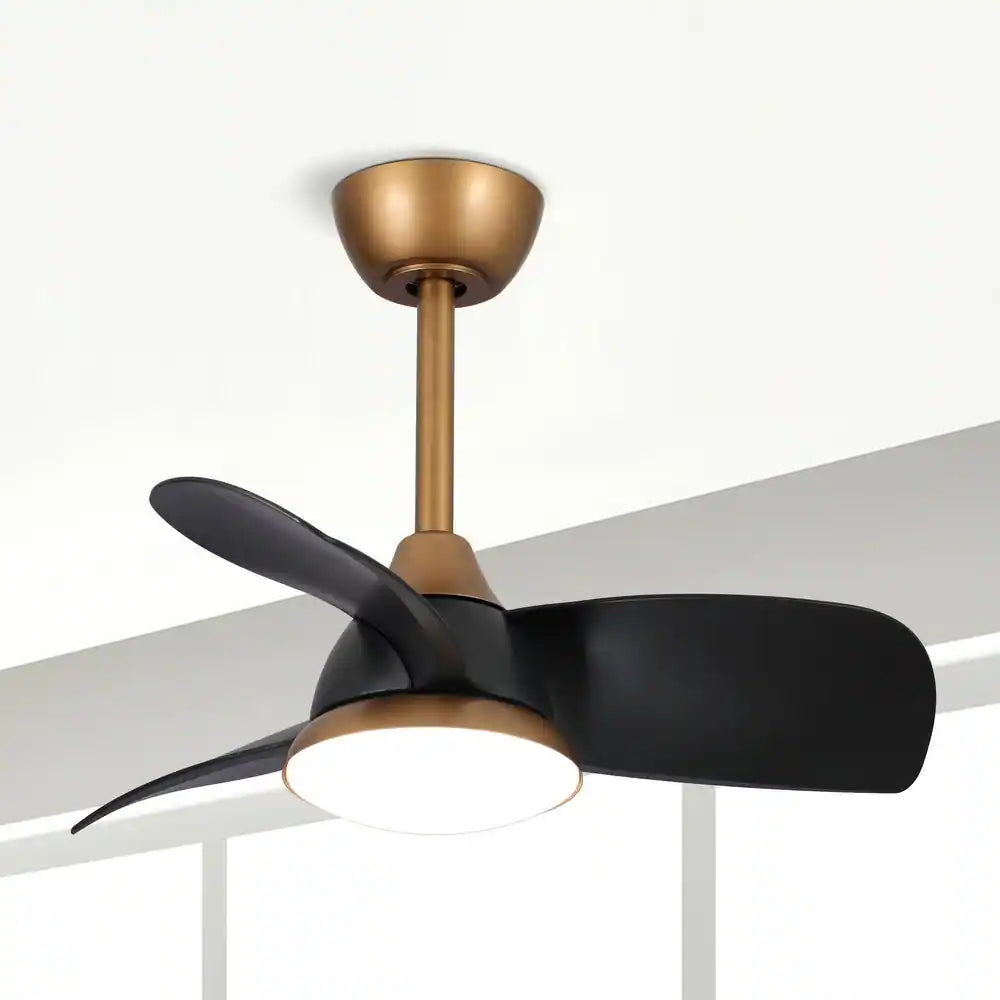 Black Modern Dimmable LED Ceiling Fan with Light and Remote