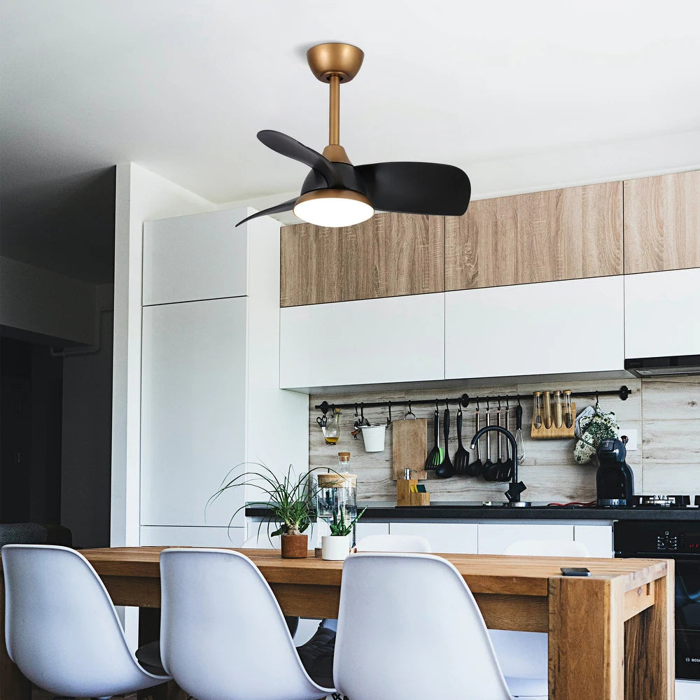 Black Modern Dimmable LED Ceiling Fan with Light and Remote