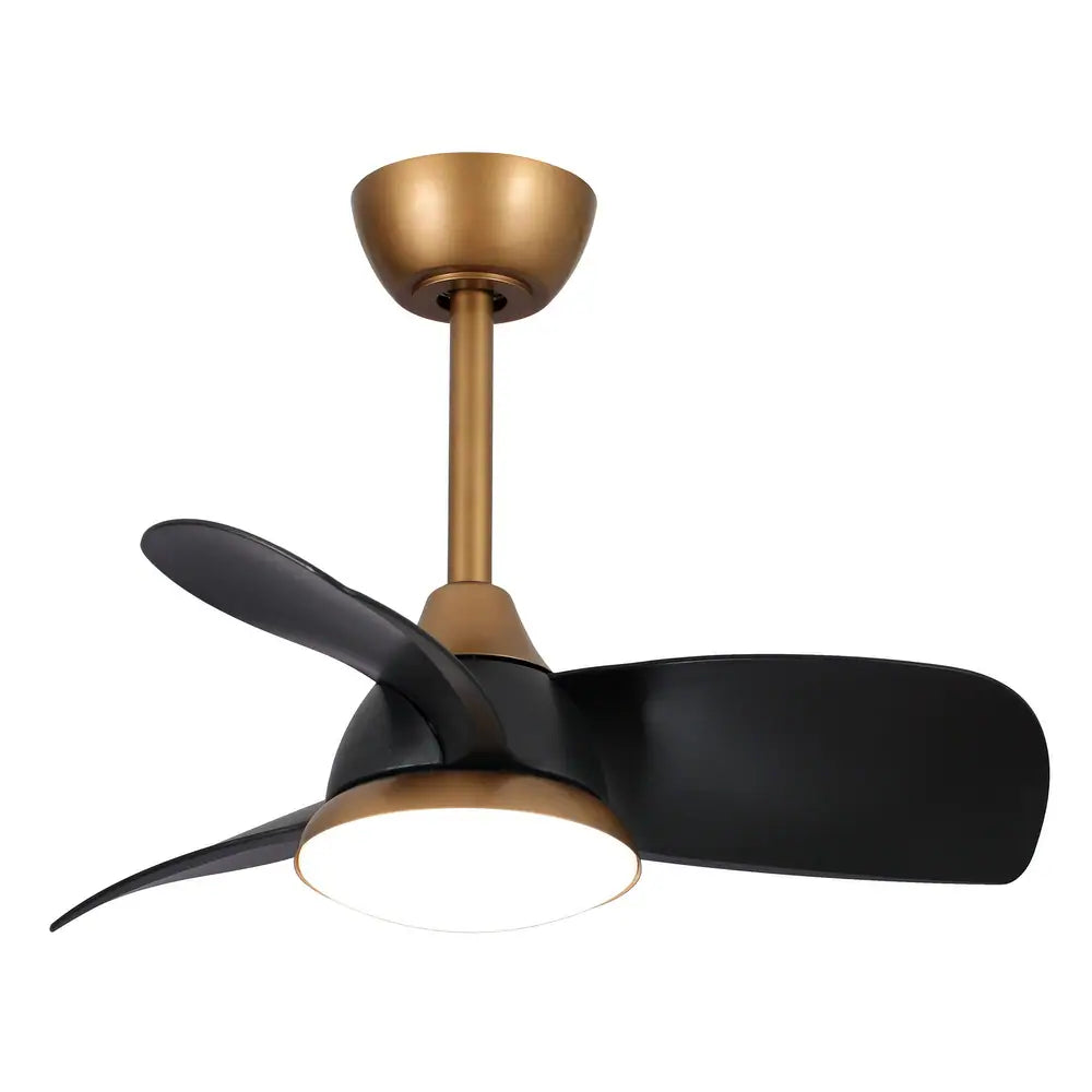 Black Modern Dimmable LED Ceiling Fan with Light and Remote