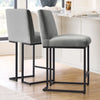 2 Pieces Chelley Counter Stool