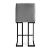 2 Pieces Chelley Counter Stool