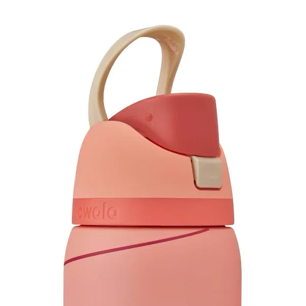 Special Edition Stainless Steel FreeSip - Candy Cane Lane Christmas Water Bottle