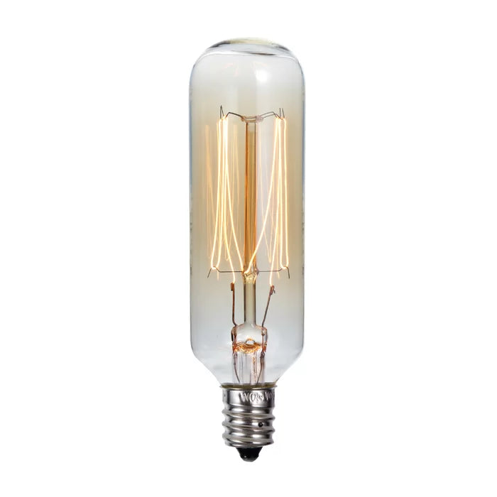 40W E12 Dimmable Incandescent Edison Light Bulb (Set of 2)