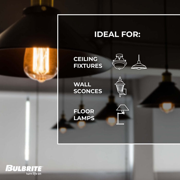 40 Watt, ST18 Incandescent, Dimmable Light Bulb, (2200K) E26/Medium (Standard) Base (Set of 4)