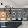 40 Watt, ST18 Incandescent, Dimmable Light Bulb, (2200K) E26/Medium (Standard) Base (Set of 4)