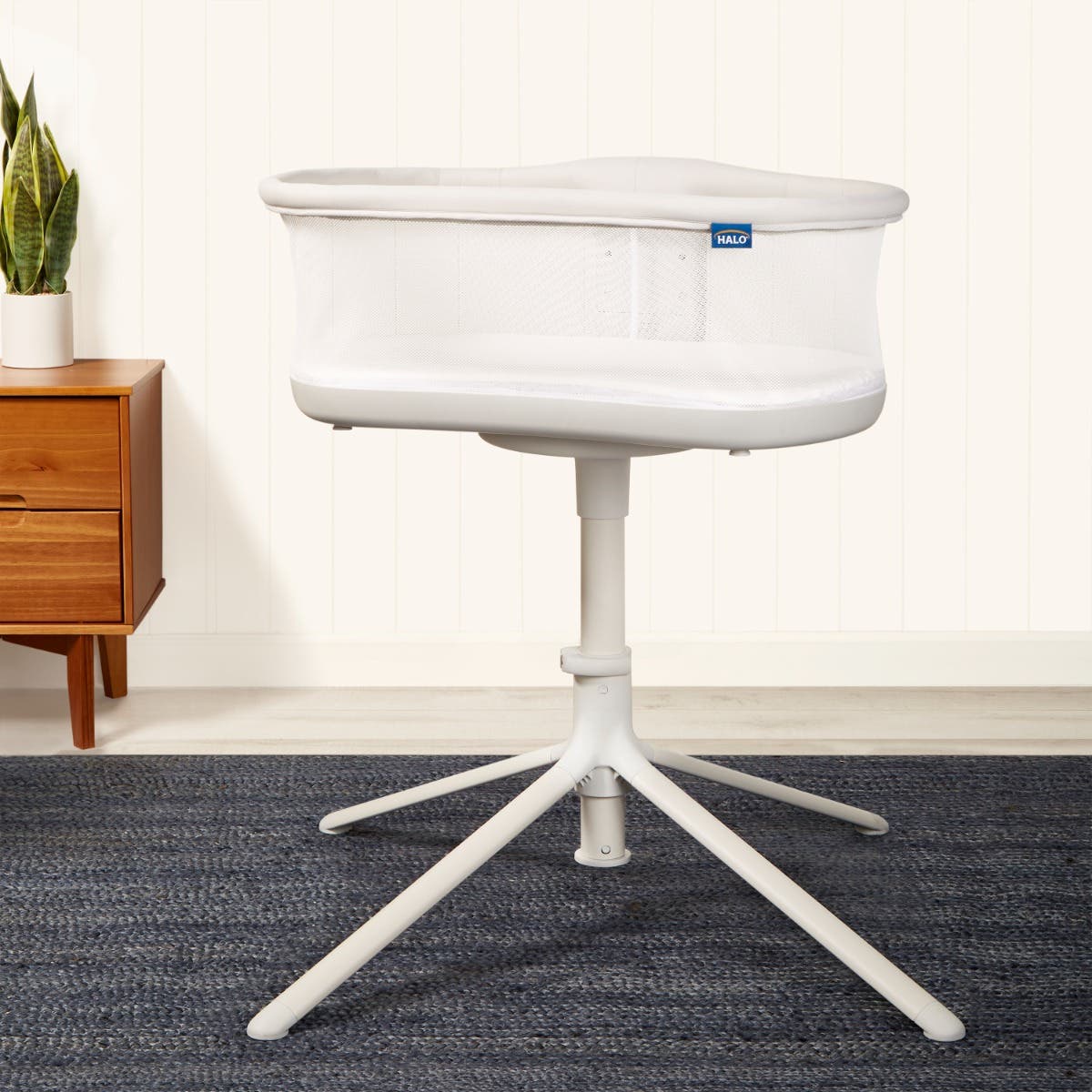 BassiNest Swivel Sleeper
