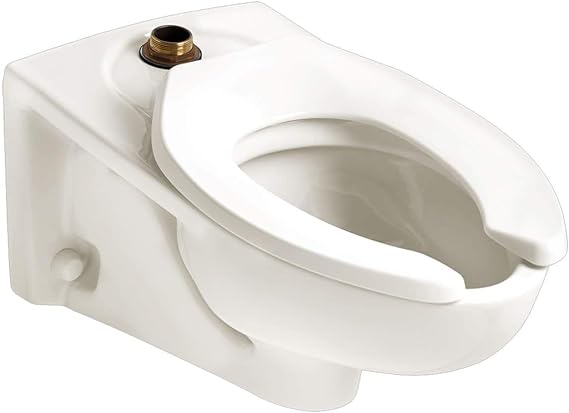 Toilet Bowl, White