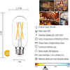 Dimmable E26 LED Light Bulb 6W, Equivalent 60W, E26 Tubular Light Bulb, Antique Clear Edison Filament Bulb 600 Lumens 5000K Daylight White, Pack of 6