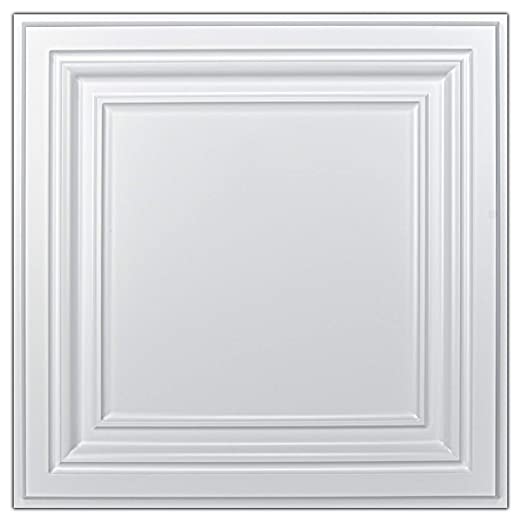 PVC Ceiling Tiles Plastic Sheet in White (12-Pack)