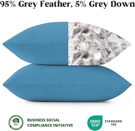 Outdoor Waterproof Throw Pillows Feathers and Down Filled Decorative Square, Pack of 2, Blue