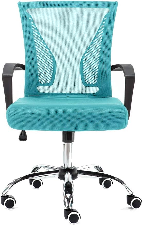 Zuna Mid-Back Office Task Chair - Ergonomic Back Supporting Mesh Back Desk Chair (Black/Aqua)