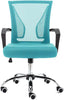 Zuna Mid-Back Office Task Chair - Ergonomic Back Supporting Mesh Back Desk Chair (Black/Aqua)