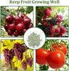 Bird Netting Garden Netting Insect Pest Barrier,Plant Cover Fruit Tree Netting Mesh Protection Bag with Drawstring,White