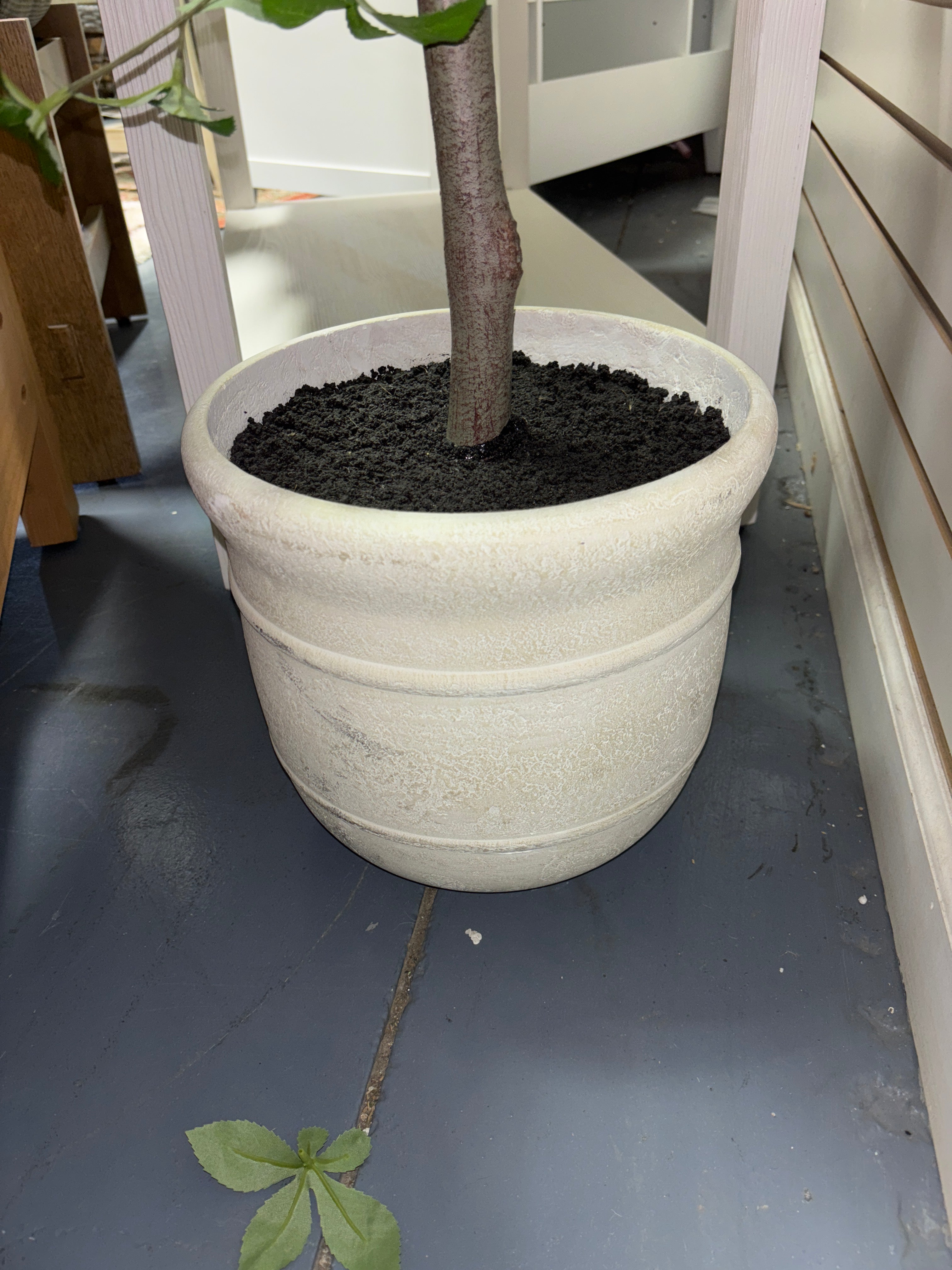 8' Faux Gypsophila Leaf Potted Tree SHOWROOM ITEM