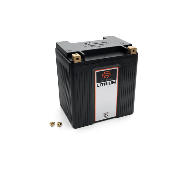 Lithium LiFe 8Ah Battery – Salvage & Co Indy