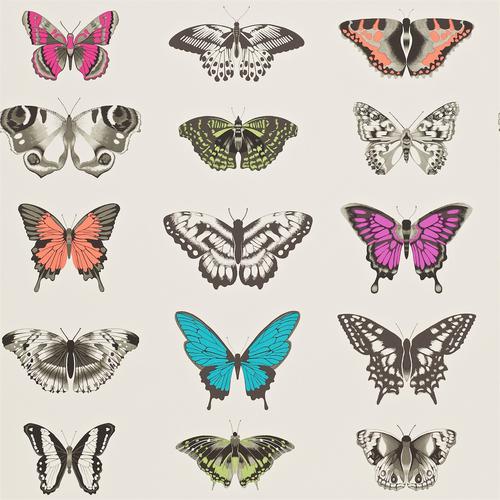 Harlequin Papilio Metallic Wallpaper Roll