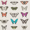 Harlequin Papilio Metallic Wallpaper Roll
