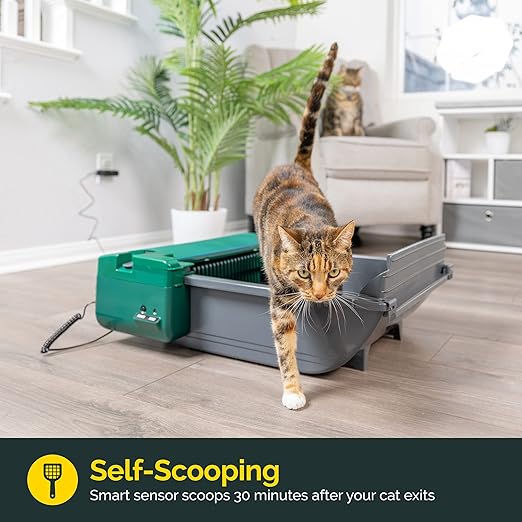 Smart Scoop Litter Box Value Pack, Self Cleaning, Hands-Free Large Litter Box
