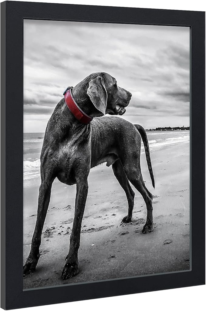 Poster Frames 3 Pack Black MDF Wood and Polished Plexiglass Frame