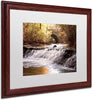 Avon Falls by Jason Shaffer, White Matte, Wood Frame
