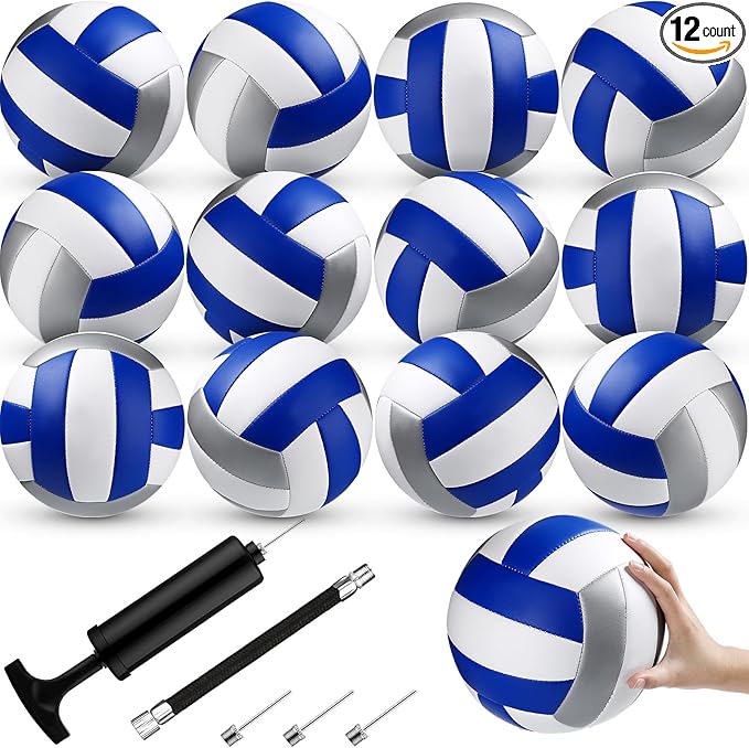 12 Pcs Official Volleyballs Bulk Soft Recreational Volleyballs with Pump Regulation