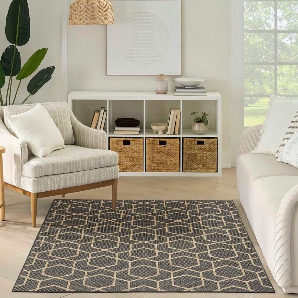 Horizon Charcoal 4 ft. x 6 ft. Indoor/Outdoor All-Over design Contemporary Area Rug