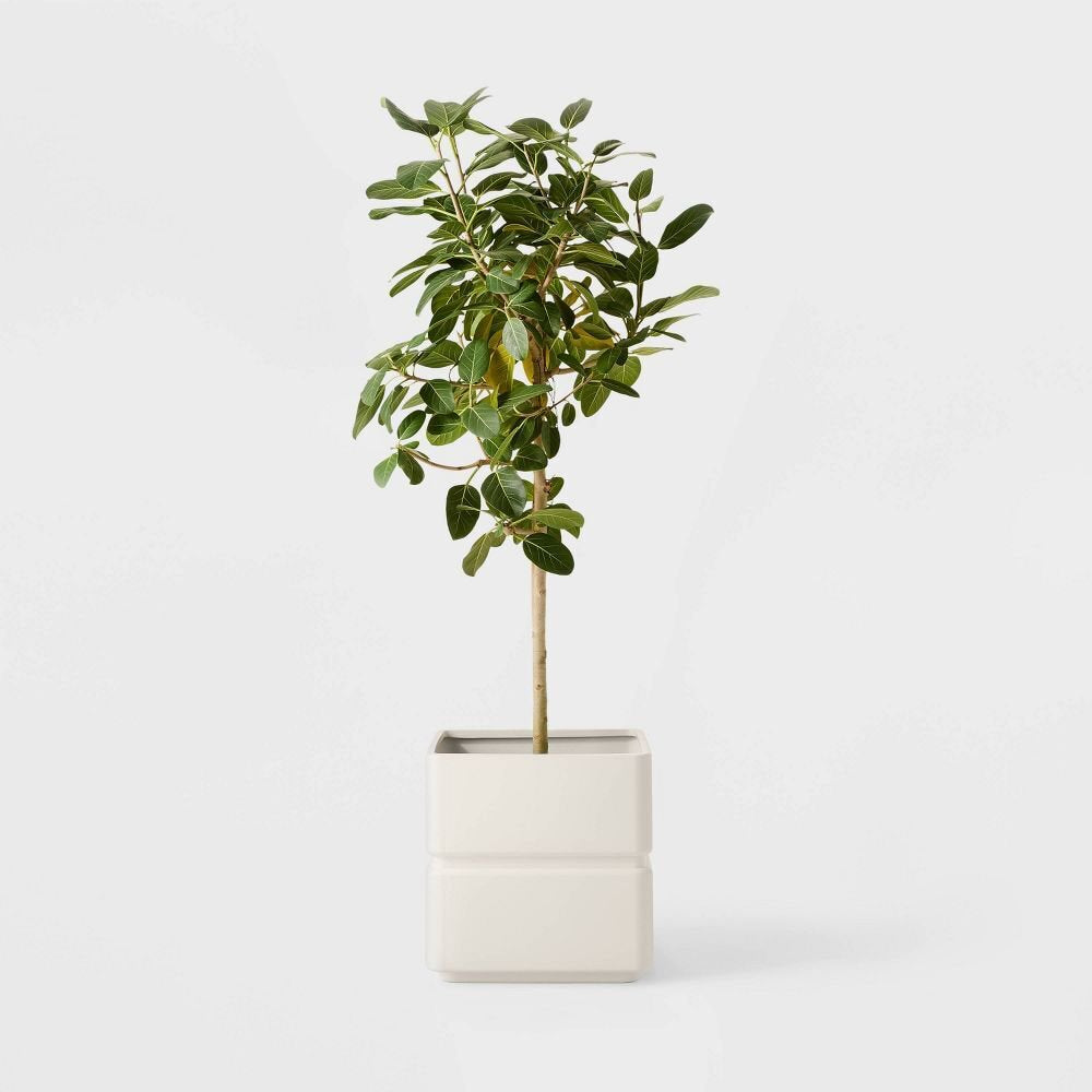 Wide Square Indoor Outdoor Planter Pot White