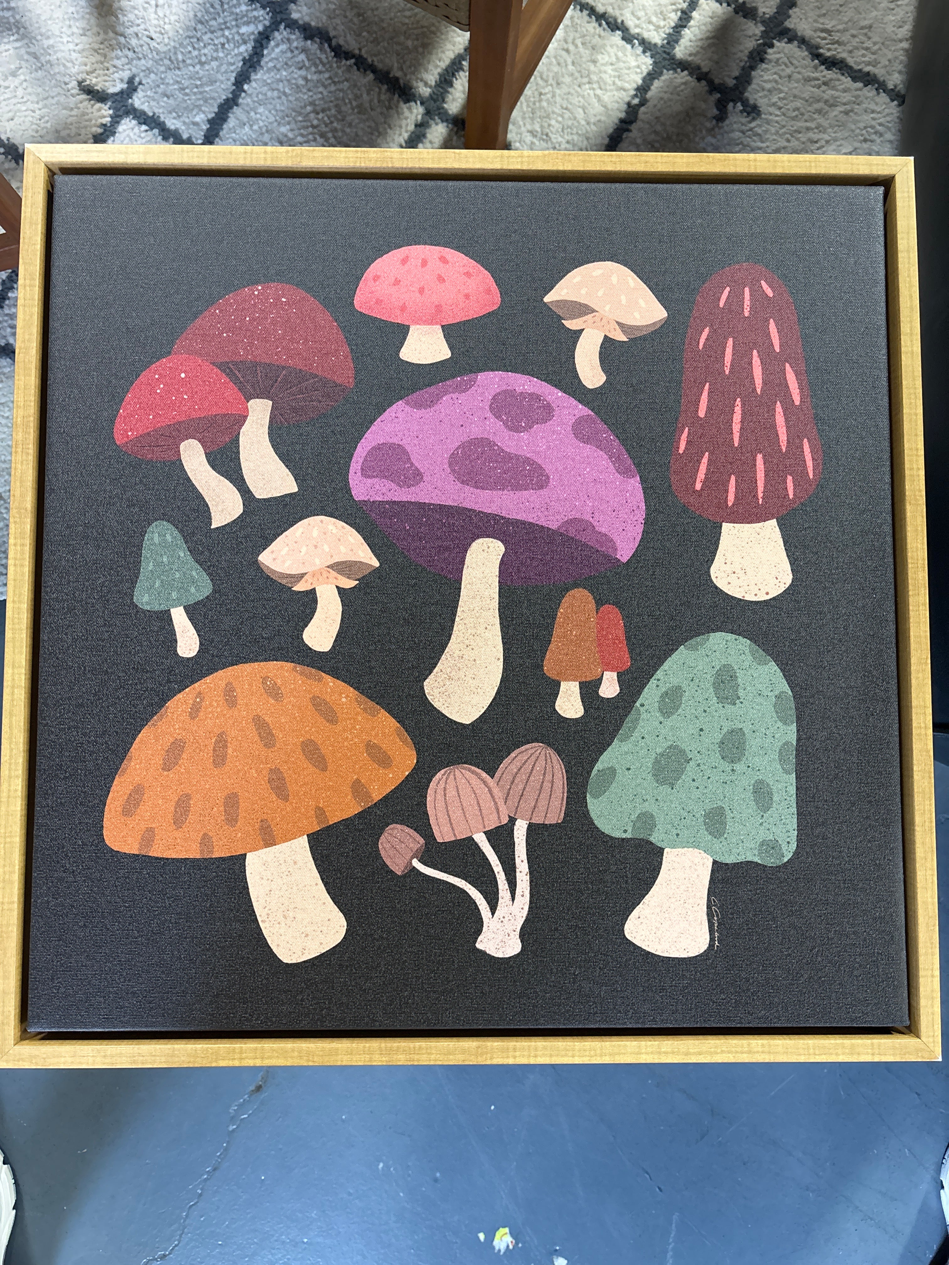 22"x22" Sylvie Forest Mushrooms Dark Framed Canvas SHOWROOM ITEM