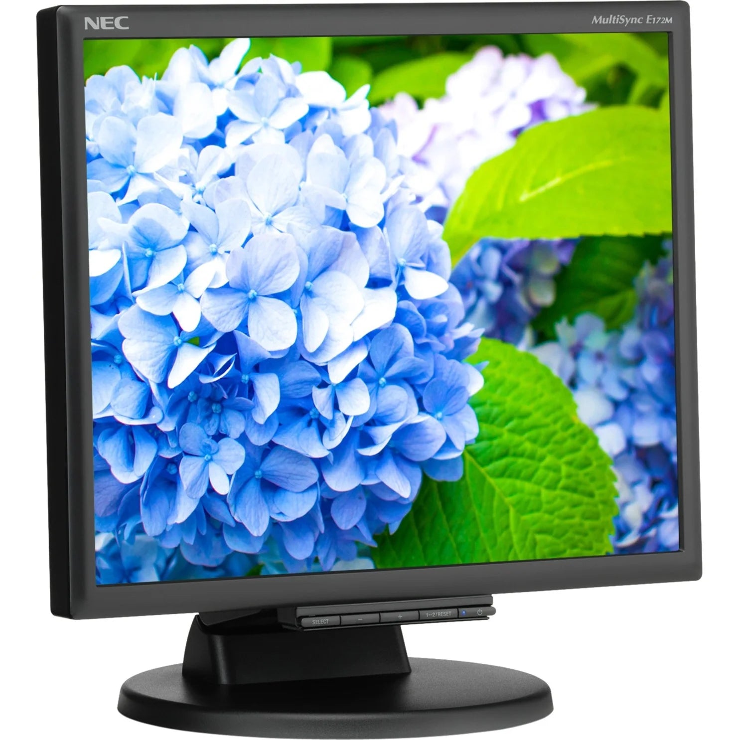 Display LCD 75 Hz, HDMI Monitor, Black, E172M-BK