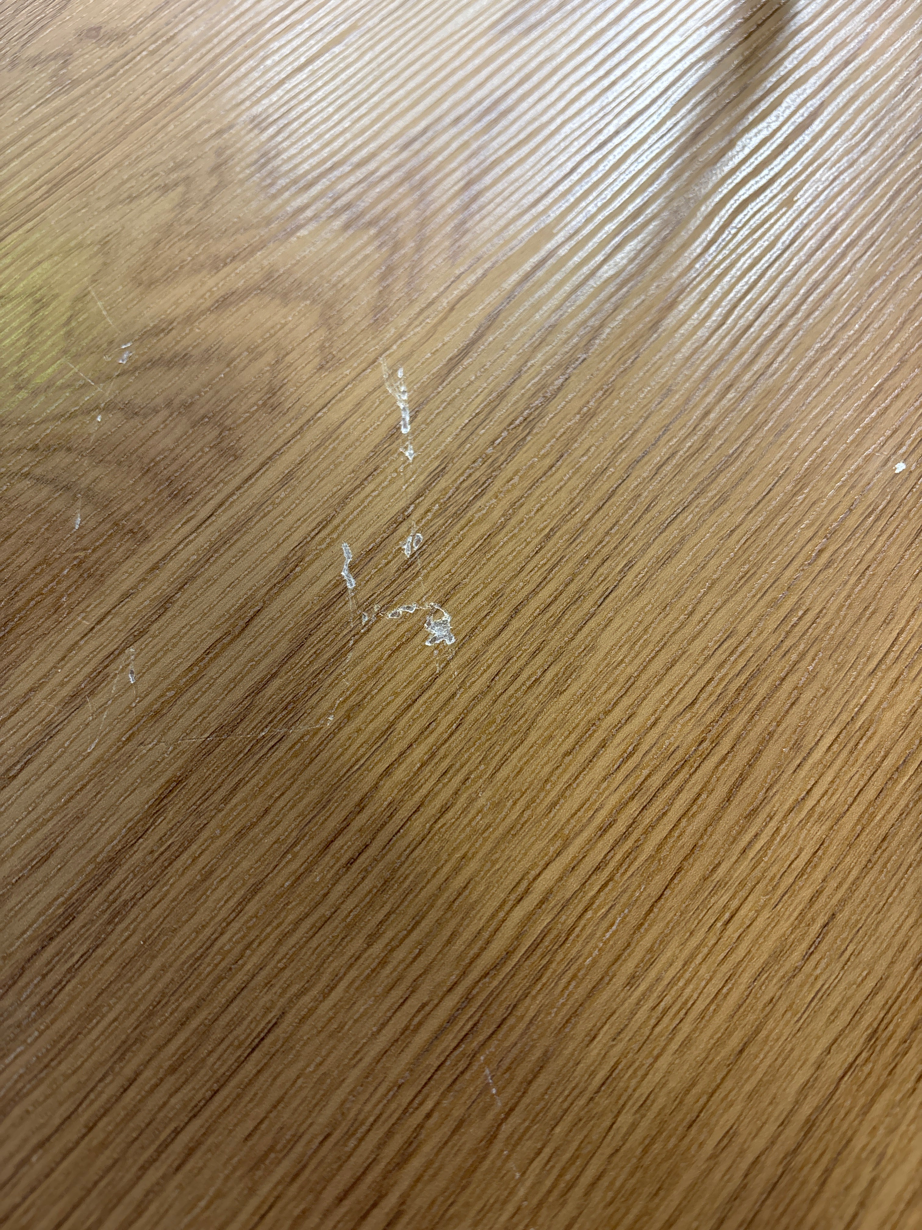 Agne 35" Round Pedestal Dining Table - Oak SHOWROOM ITEM