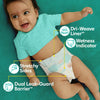 Baby Dry Diapers Size 2, 180 Count