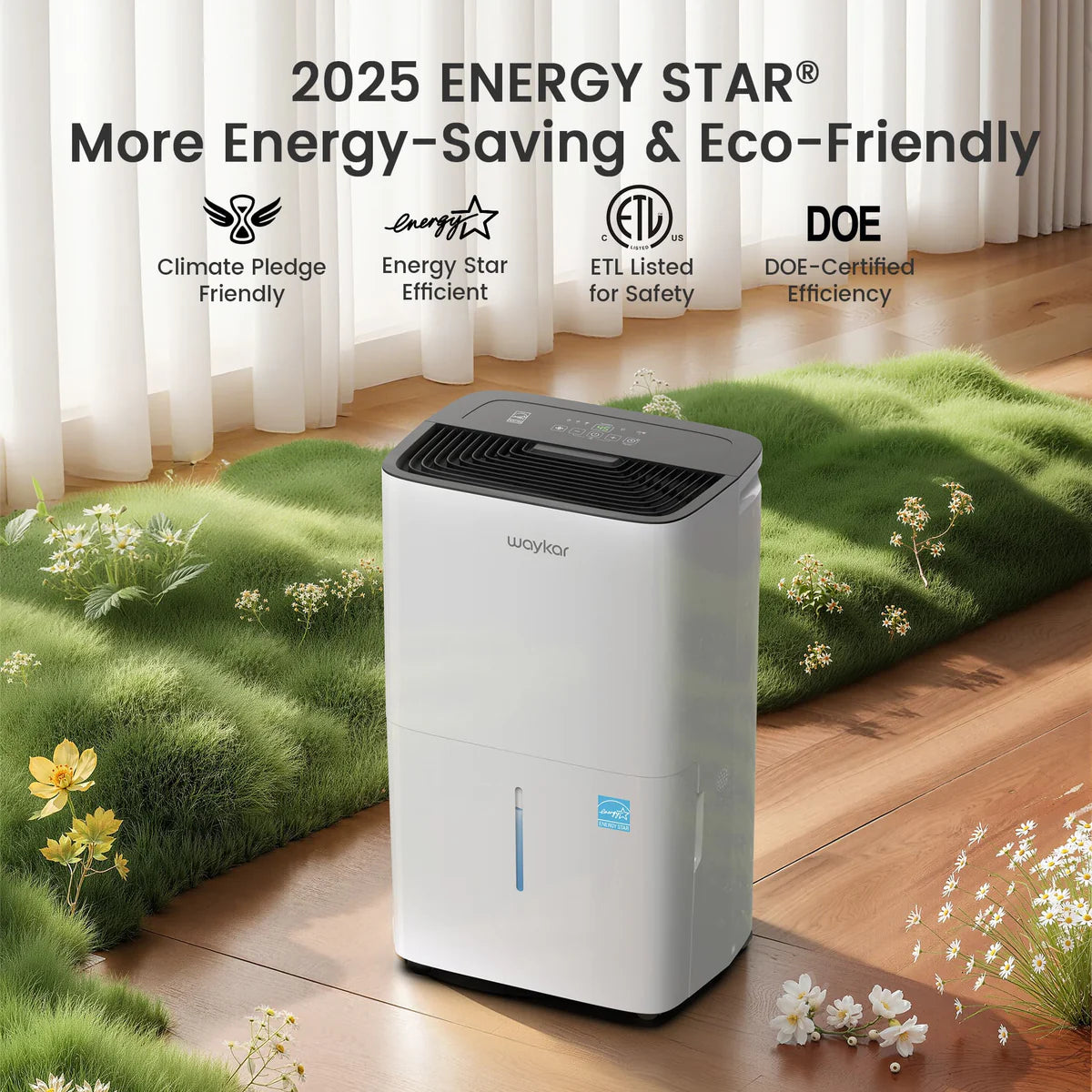 Energy Star Dehumidifier