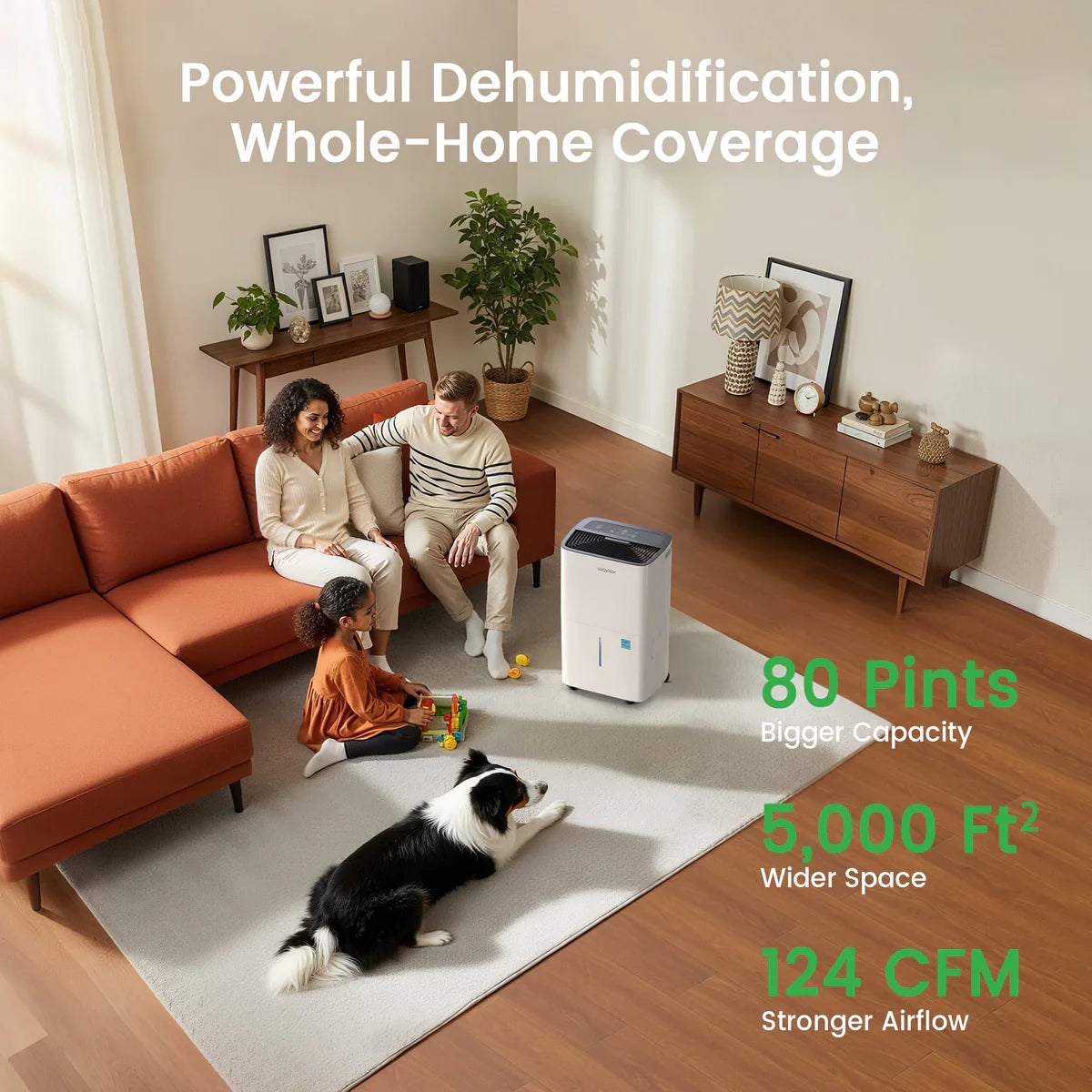 Energy Star Dehumidifier