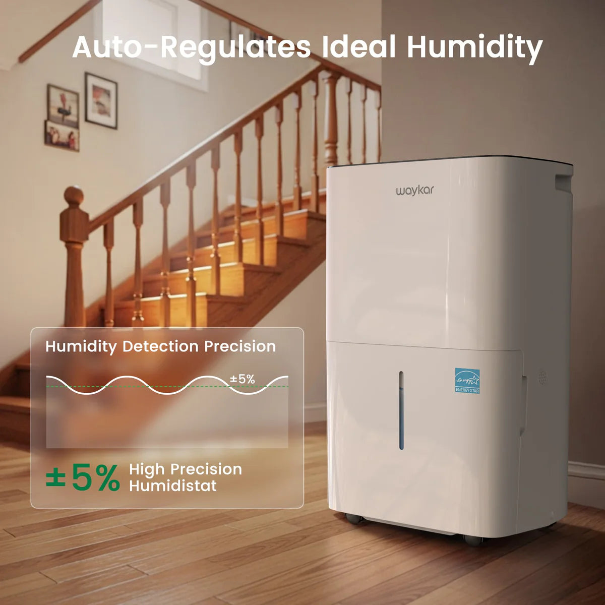 Energy Star Dehumidifier
