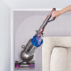 Ball Allergy Upright Vacuum