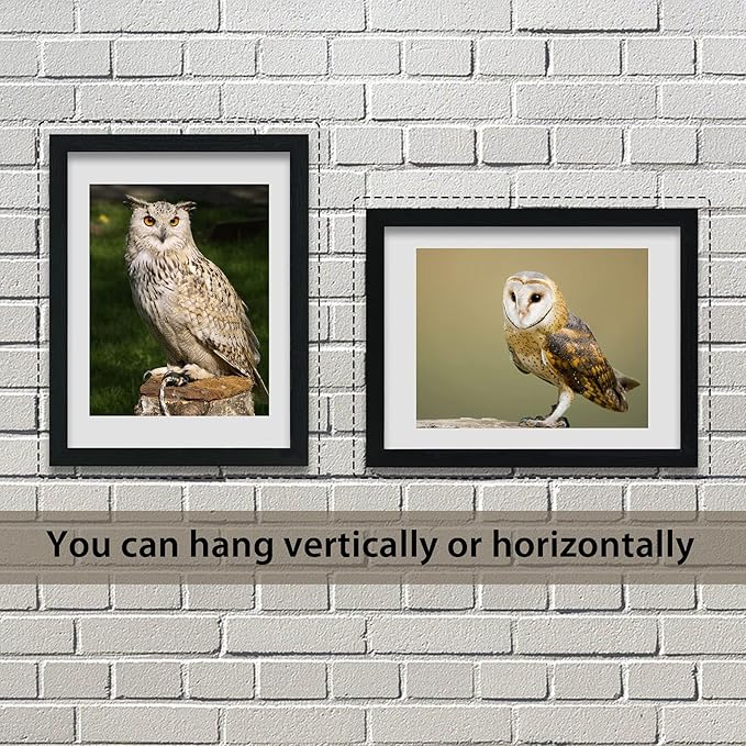 Poster Frames 3 Pack Black MDF Wood and Polished Plexiglass Frame