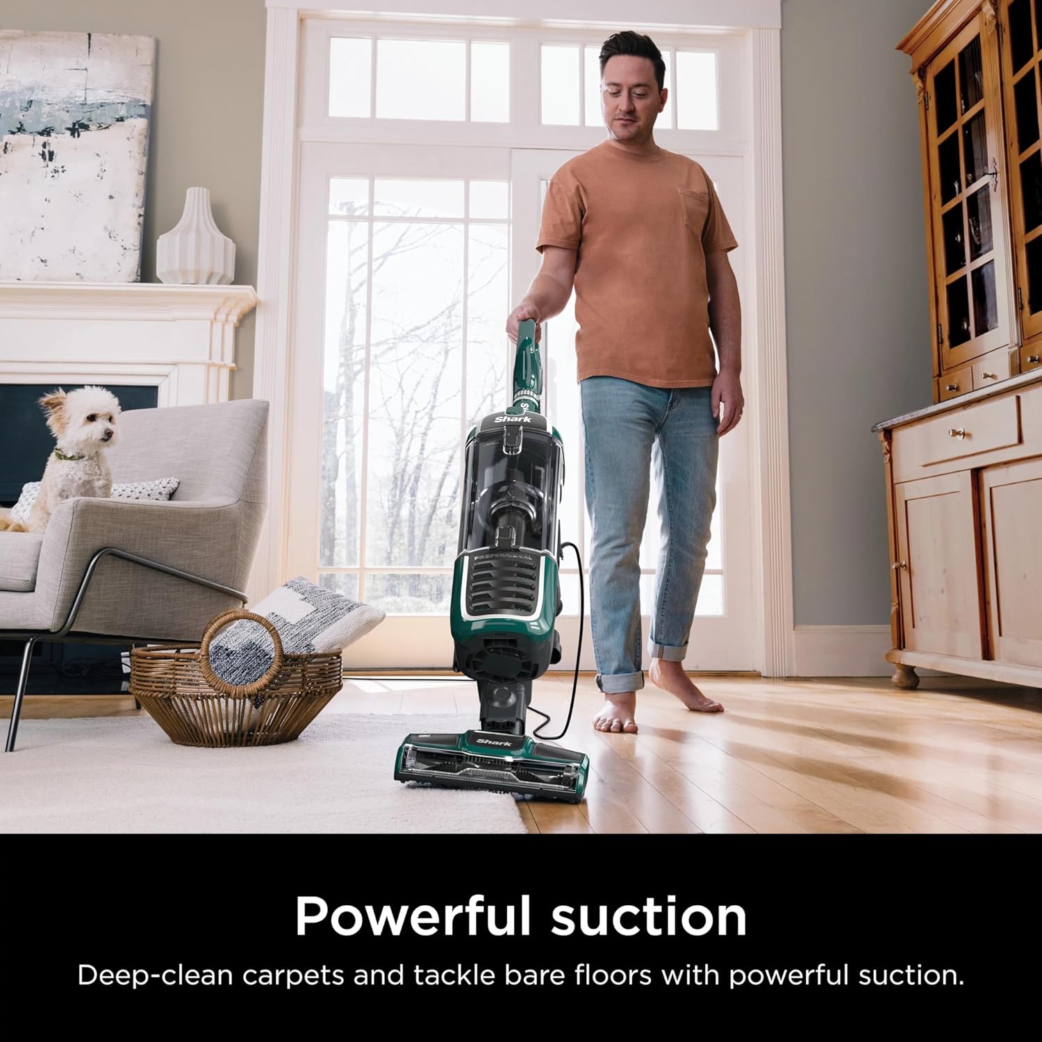 Navigator Swivel Pro Plus Upright Vacuum