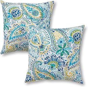 Baltic Paisley Square Outdoor Throw Pillow (2-Pack)